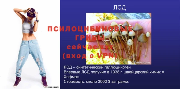 амф Магас