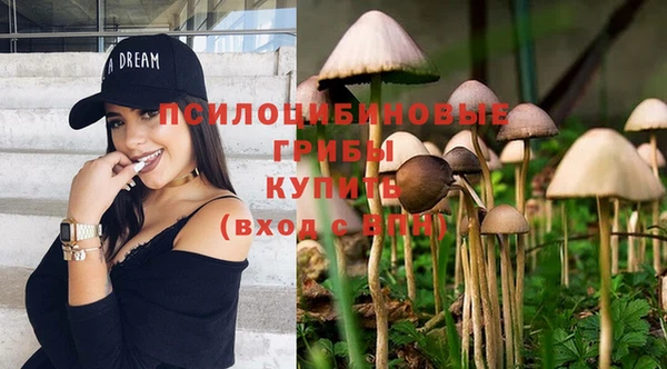 прущие грибы Одинцово