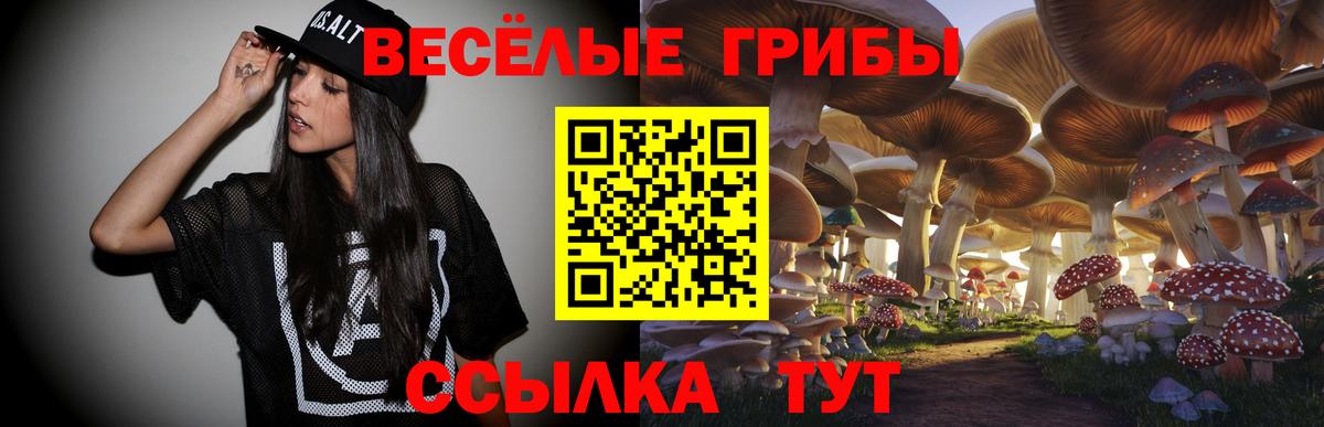 Псилоцибиновые грибы прущие грибы  наркотики  Старый Оскол 